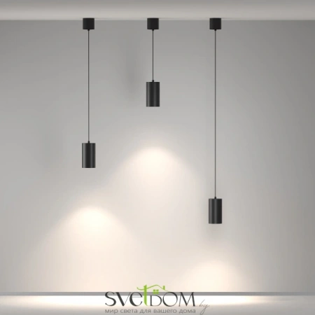 Подвесные светильники Maytoni P100PL-20W4K-B от Магазина Svetdom.by