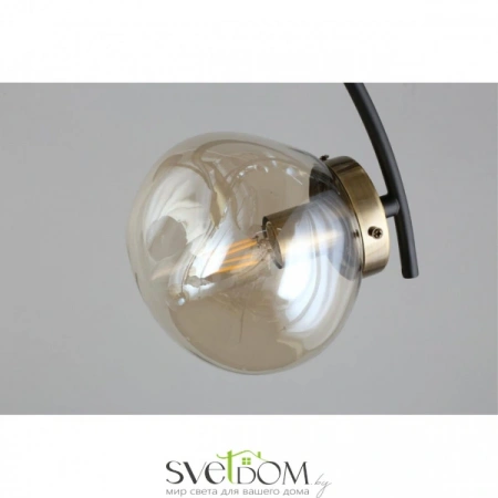 Люстры потолочныеOML-95307-08 Omnilux | Svetdom.by