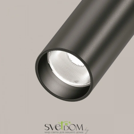 Потолочные светильники Maytoni C055CL-L12B3K-W-B от Магазина Svetdom.by