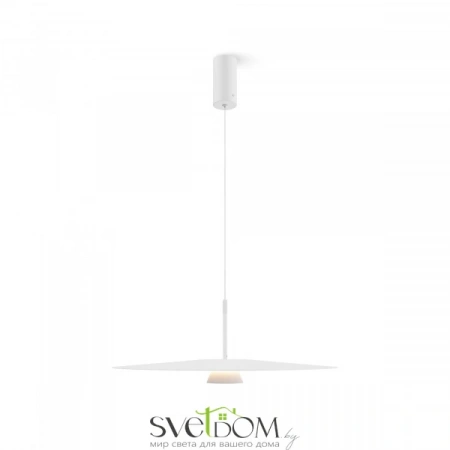 Подвесные светильники Maytoni MOD352PL-L10W3K1 от Магазина Svetdom.by