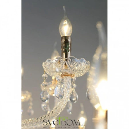 Люстры подвесныеAPL.811.03.42 Aployt | Svetdom.by