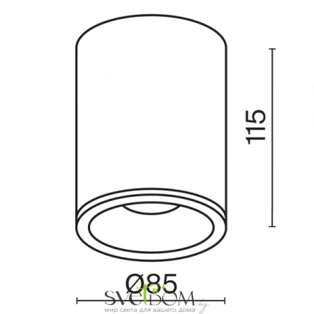 Потолочные светильники Maytoni C029CL-01B от Магазина Svetdom.by