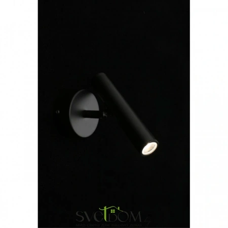 Настенные светильники APL.067.01.03 Aployt | Svetdom.by
