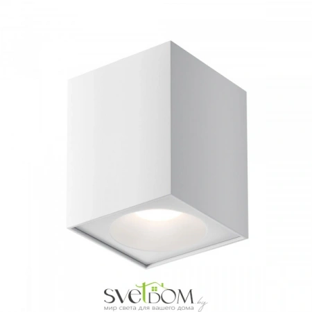 Потолочные светильники Maytoni C030CL-01W от Магазина Svetdom.by