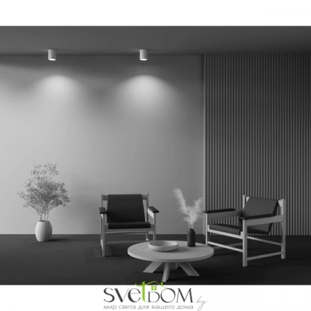 Потолочные светильники Maytoni C001CW-01W от Магазина Svetdom.by