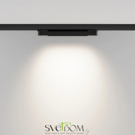 TR196-3-10W4K-B Maytoni