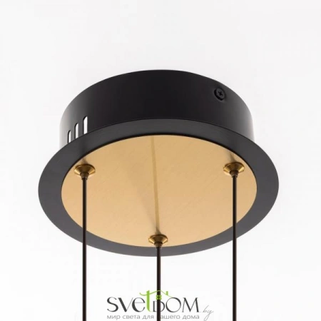 Люстры подвесныеCL211042 CITILUX | Svetdom.by