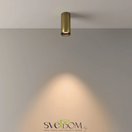 Потолочные светильники Maytoni C056CL-L12W3K-W-BS от Магазина Svetdom.by