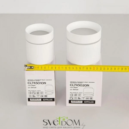 Накладные светильники CITILUX CL745020N от Магазина Svetdom.by