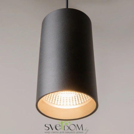 Подвесные светильники Maytoni P100PL-20W3K-B от Магазина Svetdom.by