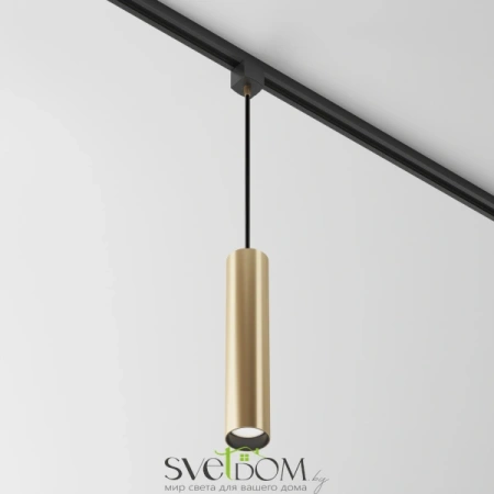 Трековый подвесной светильник Technical TR025-1-GU10-MG Maytoni