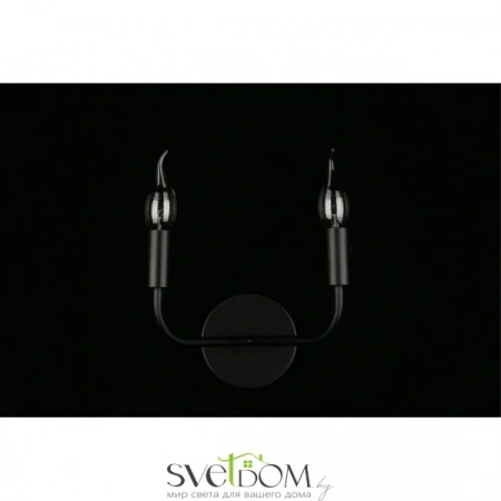 Настенные светильники APL.338.11.02 Aployt | Svetdom.by