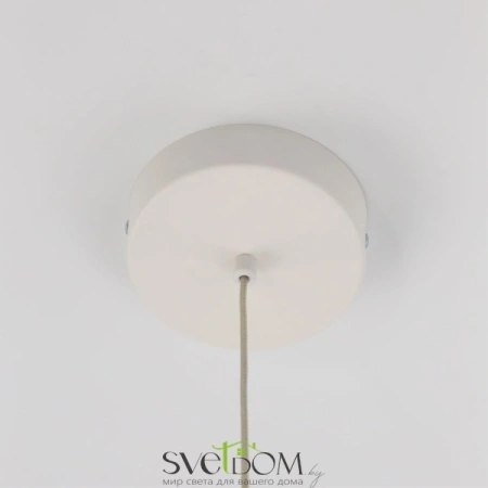 Citilux Паркер CL225B110 LED Подвесной светильник Белый CITILUX
