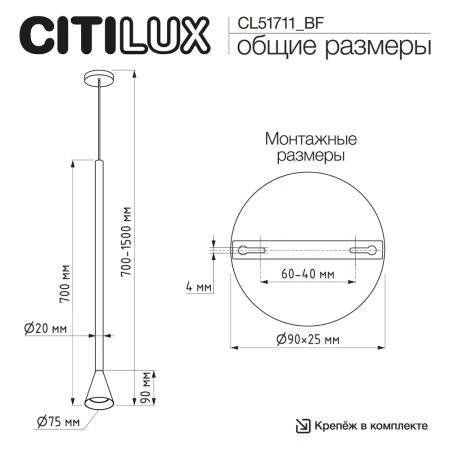 Подвесной светильник Citilux DUZA CL51711_BF CITILUX