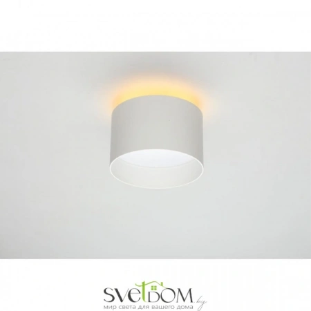 Настенно-потолочные светильники Omnilux OML-100419-16 от Магазина Svetdom.by