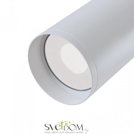 Потолочные светильники Maytoni C018CL-01W от Магазина Svetdom.by