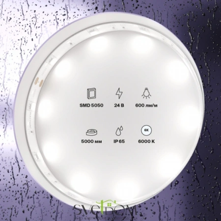 Светодиодная лента 24В 5050 7,2Вт/м 6000K 5м IP65 10165