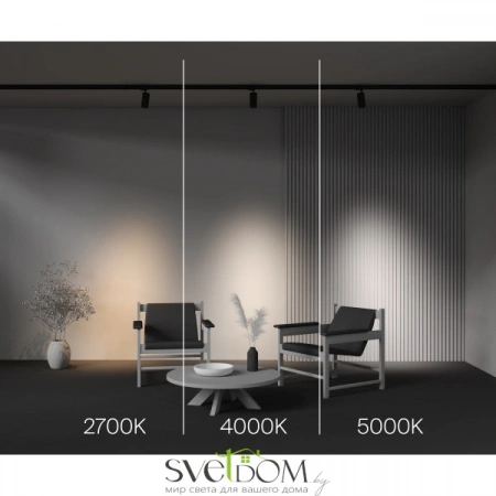 TR197-3-20WCCT-M-B Maytoni