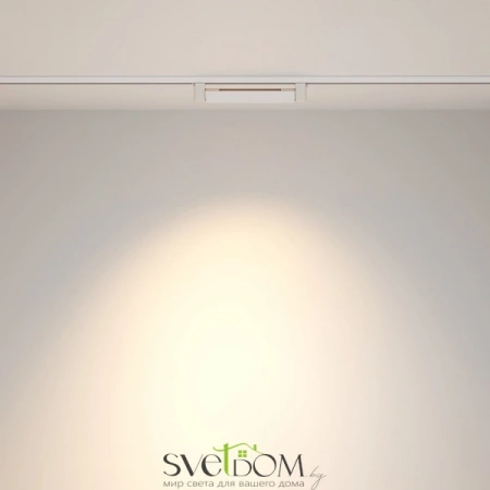 TR010-1-10W4K-M-W Maytoni