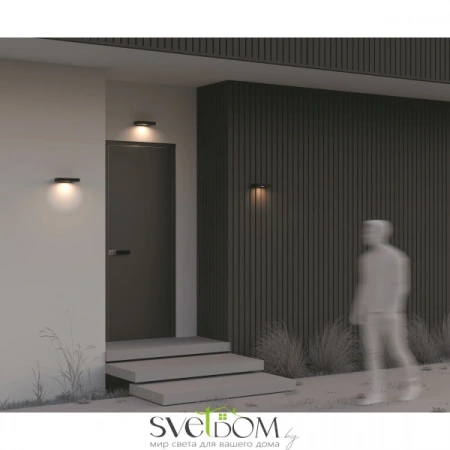 Настенные светильники OSL456WL-L2GF3K Maytoni | Svetdom.by