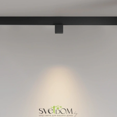 TR133-2-7W3K-B Maytoni