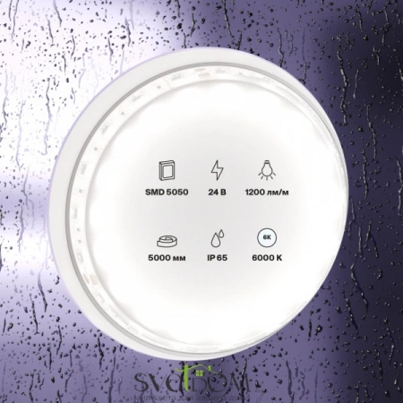 Светодиодная лента 24В 5050 14,4Вт/м 6000K 5м IP65 10173