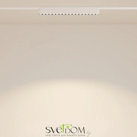 TR082-1-18W3K-M-W Maytoni