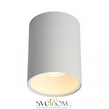 Накладные светильники Omnilux OML-101209-01 от Магазина Svetdom.by