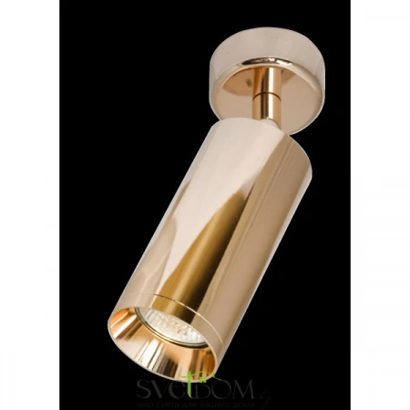 Потолочные светильники Maytoni C017CW-01RG от Магазина Svetdom.by