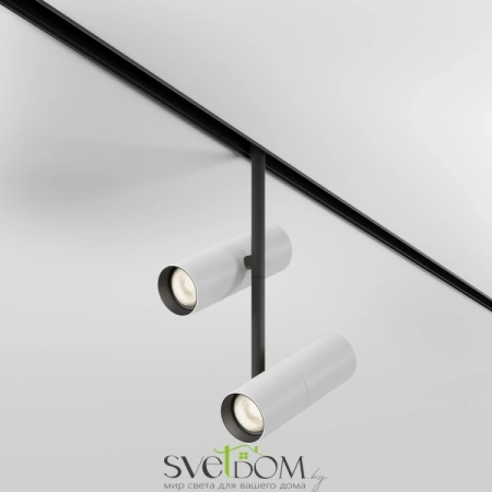 Трековый светильник Technical TR005-2-2X12W3K-BW Maytoni