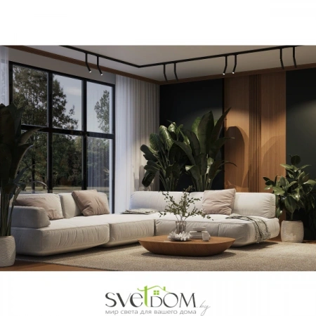 TR142-1-6W4K-B Maytoni