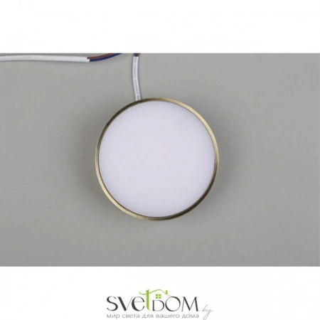 Настенно-потолочные светильники Aployt APL.0114.29.12 от Магазина Svetdom.by