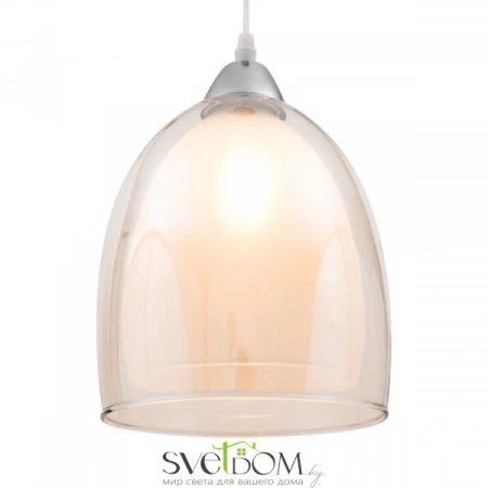 Подвесные светильники Freya FR5375PL-01CH1 от Магазина Svetdom.by