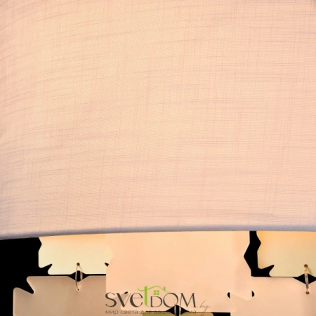 Настенные светильники H601WL-02BS Maytoni | Svetdom.by