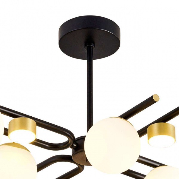 Люстры потолочные3048-8P Favourite | Svetdom.by