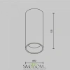 Потолочные светильники Maytoni C056CL-L12W2.7K-W-PT от Магазина Svetdom.by