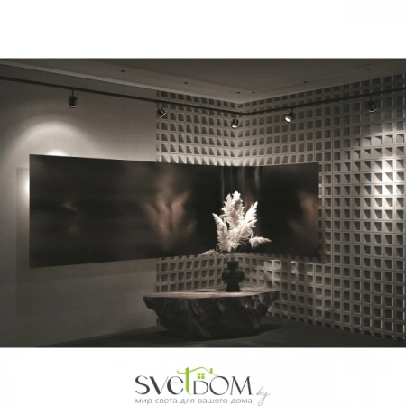 TR085-1-5W4K-B Maytoni