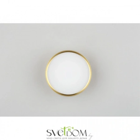 Накладные светильники Omnilux OML-100929-12 от Магазина Svetdom.by