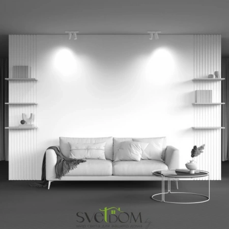 Потолочные светильники Maytoni C051CL-U-2W от Магазина Svetdom.by