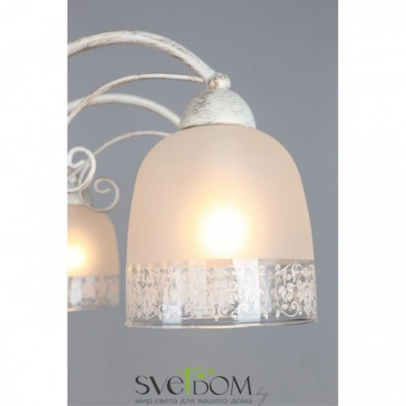 Люстры потолочныеOML-54907-08 Omnilux | Svetdom.by