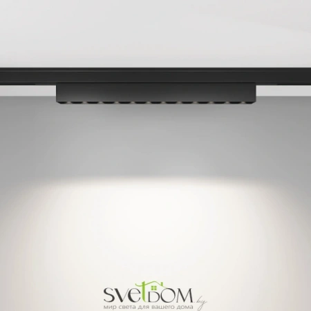 TR193-1-10W4K-M-B Maytoni