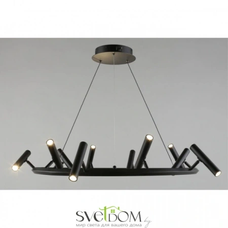 Люстры подвесныеAPL.067.03.50 Aployt | Svetdom.by