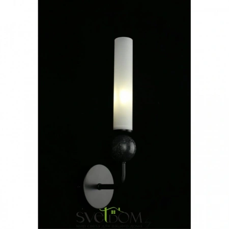 Настенные светильники APL.339.01.01 Aployt | Svetdom.by