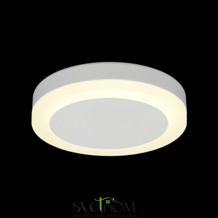 Накладные светильники Omnilux OML-102109-06 от Магазина Svetdom.by