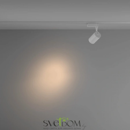 TR003-1-10W3K-S-W Maytoni