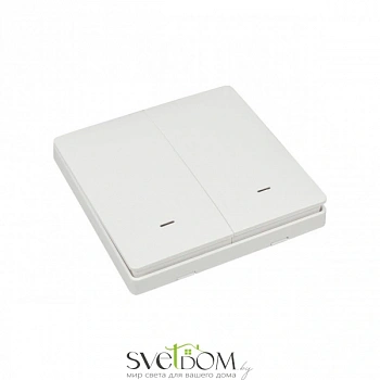 Трековое управление Aployt  APL.0190.00.02