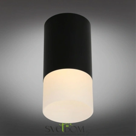 Накладные светильники Omnilux OML-100619-01 от Магазина Svetdom.by