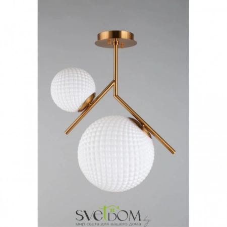 Люстры потолочныеAPL.300.07.02 Aployt | Svetdom.by