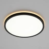 Накладной светильник Citilux NORMA CL748321 CITILUX