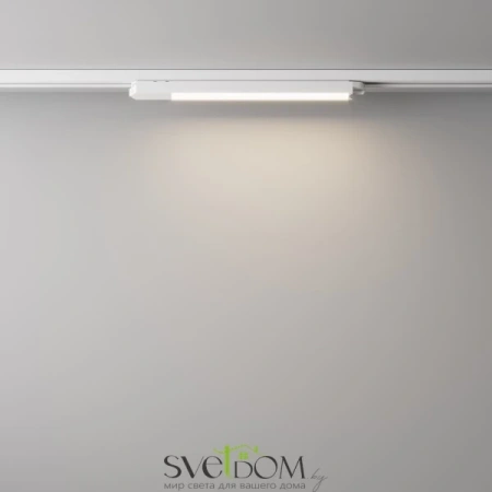 Трековый светильник Technical TR000-1-12W4K-W Maytoni